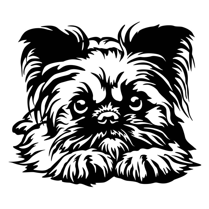 Brüsseler Griffon Kopf