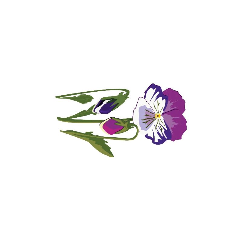 Fleur de violette