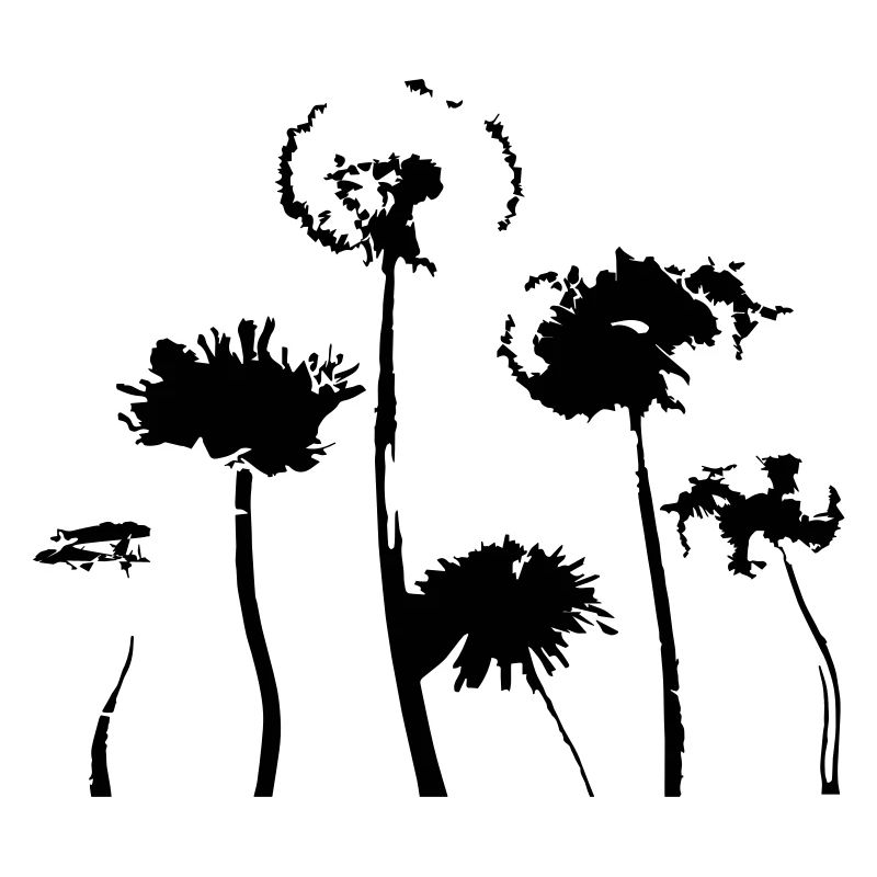 dandelion