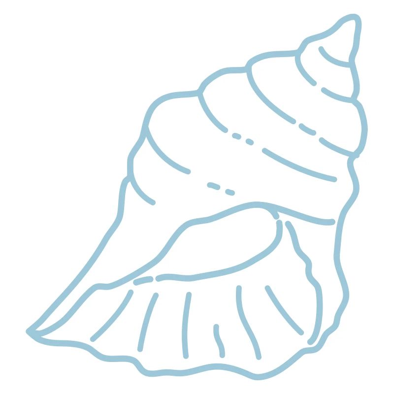 ICN: Muschel 1