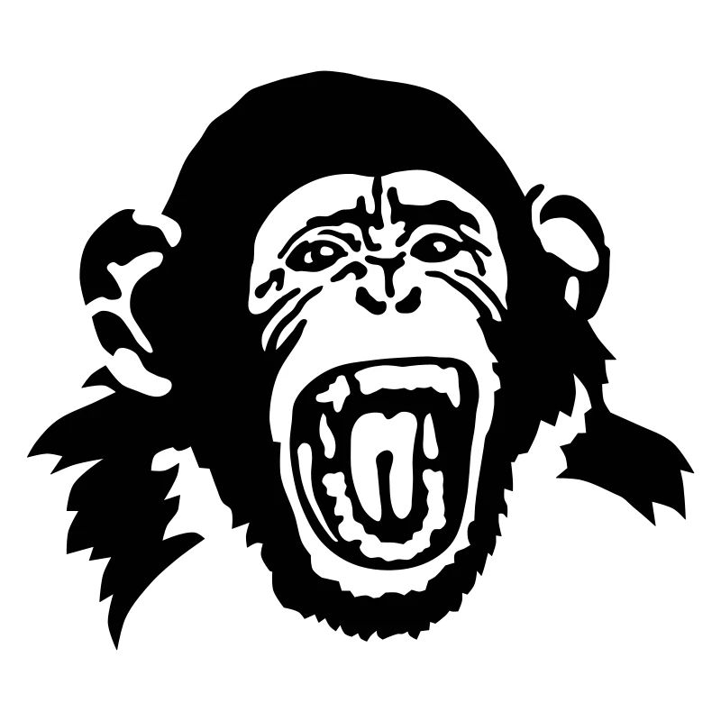 monkey