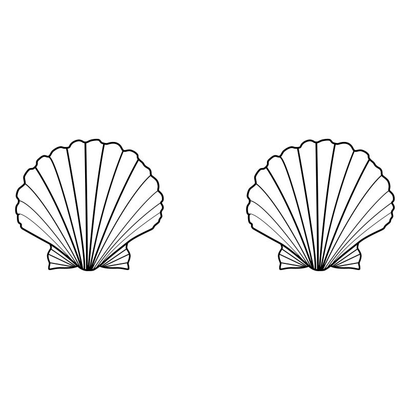 Shell Bra