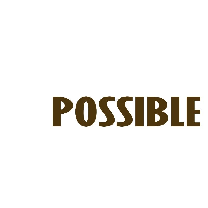 NO THING IS IMPOSSIBLE 