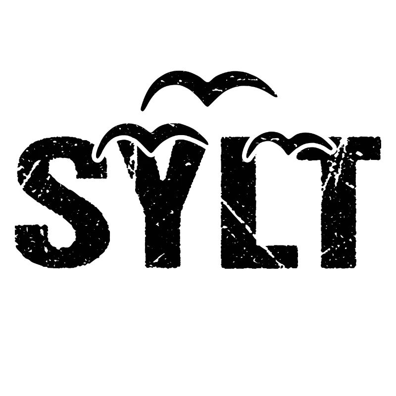 Sylt Insel Möwen