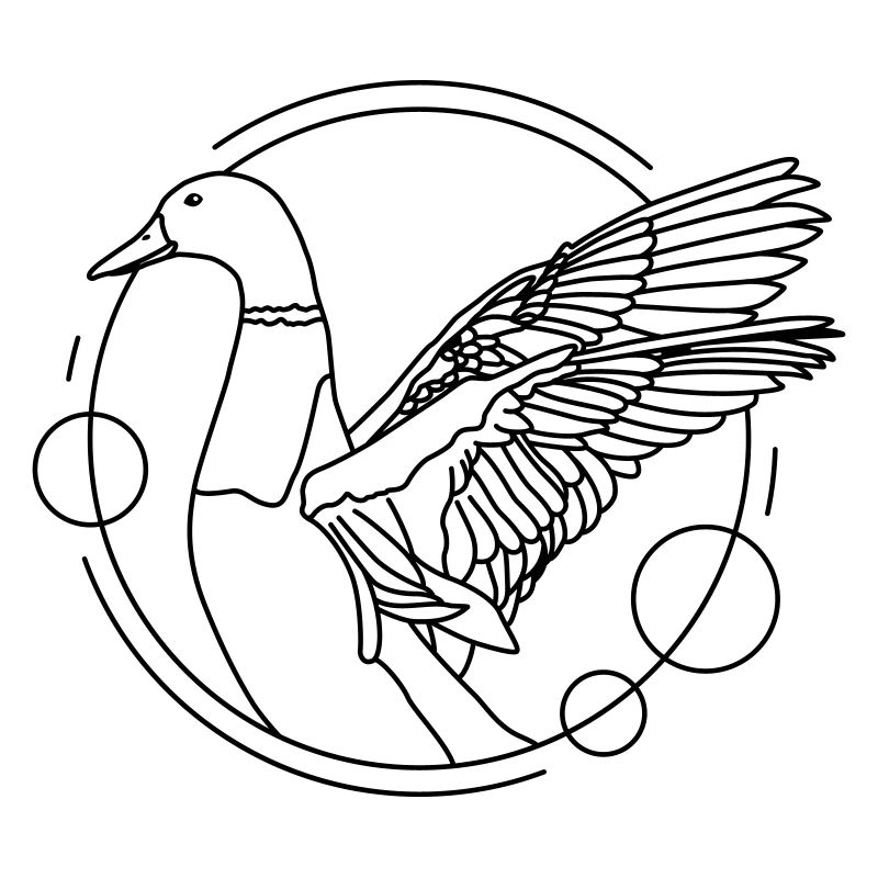 Canard aux ailes déployées - géométrique