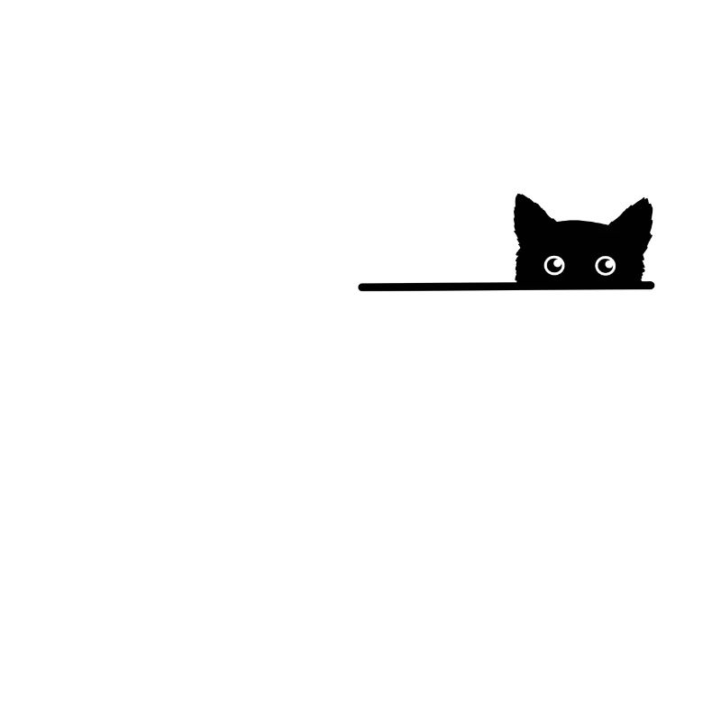 Taschenkatze katze