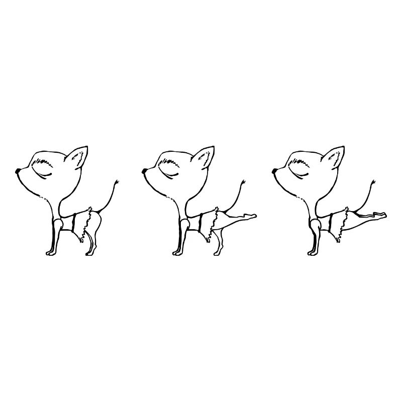 Chihuahua Hunde Fitness