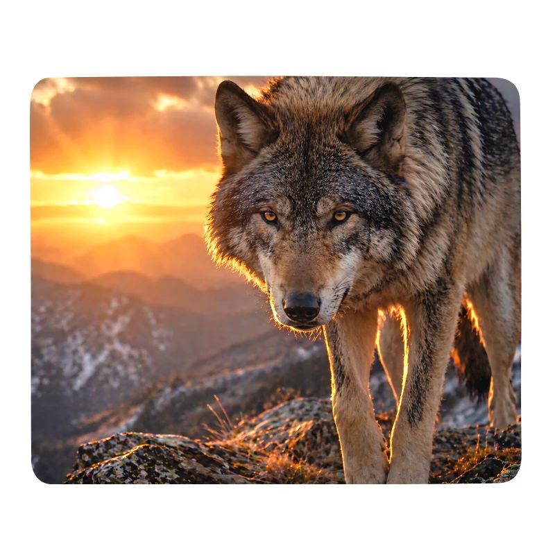 Wolf im Sonnenuntergangsberg