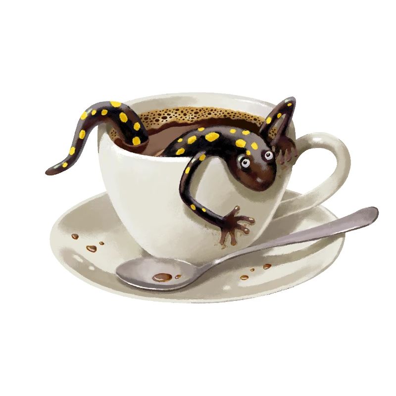 Kaffee–Salamander 3