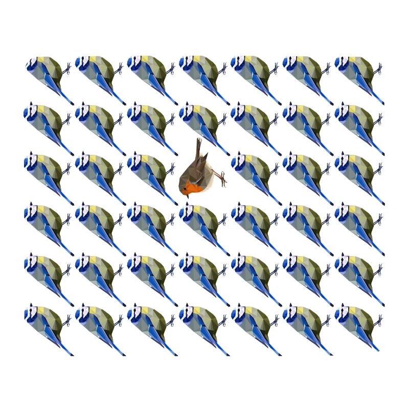 be different blue robin bird pattern