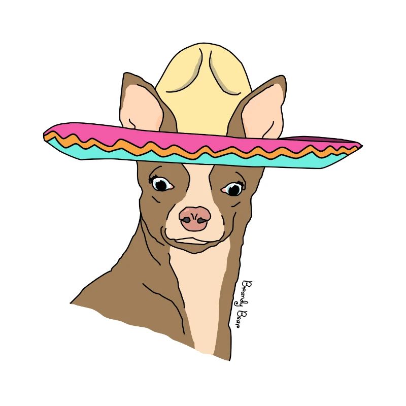 aye chihuahua