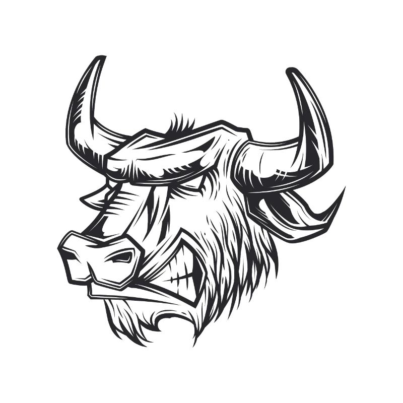 ANGRY BULL