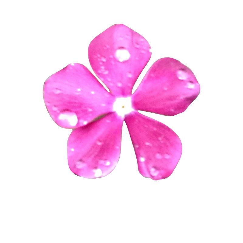 Blume Hippie