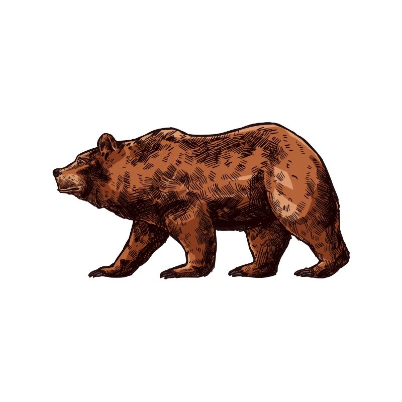 Bär Shirt