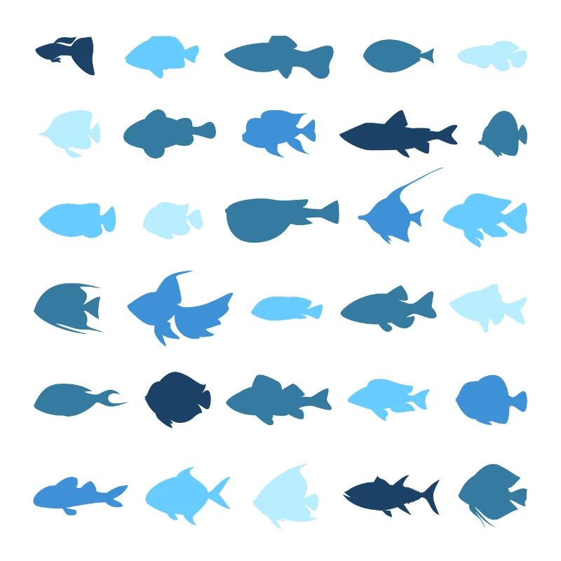 Les petits poissons