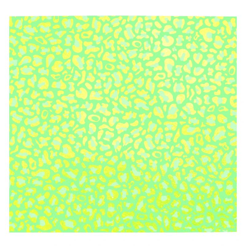 Leopard Pattern | Leopard Print | African Animal