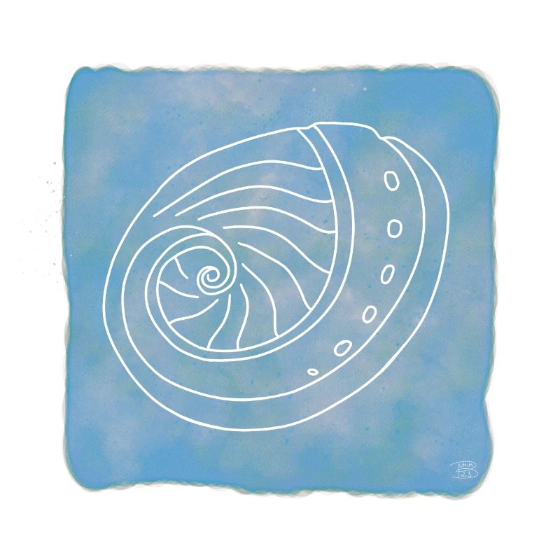 Abalone, Boho Line Art Design, Serie Shells