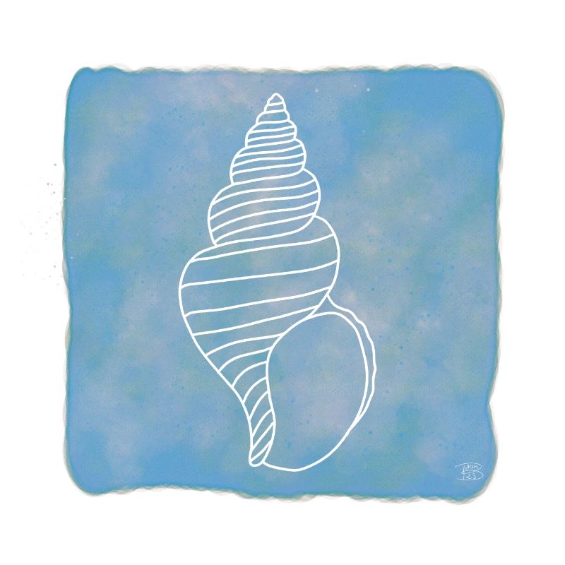Snail Clam, Boho Line Art Design, Shells