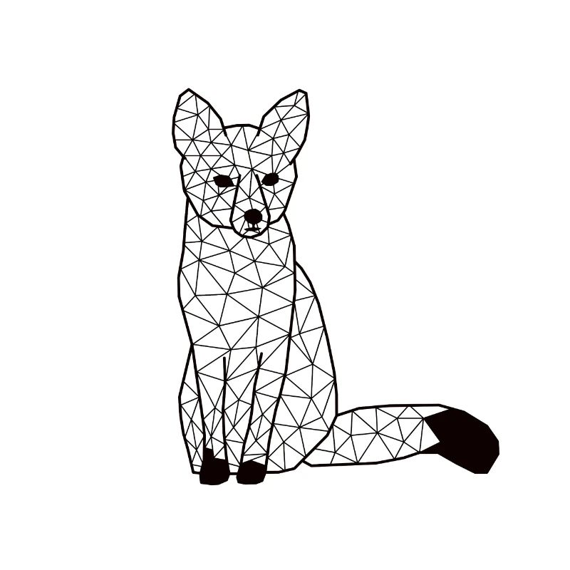 Foxx GeomeTRIX