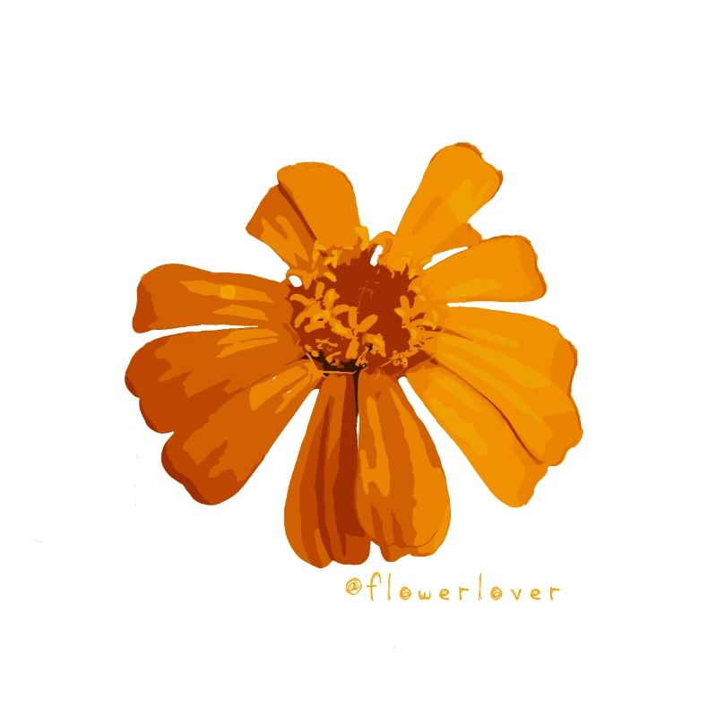 Flowerlover Nr. 11