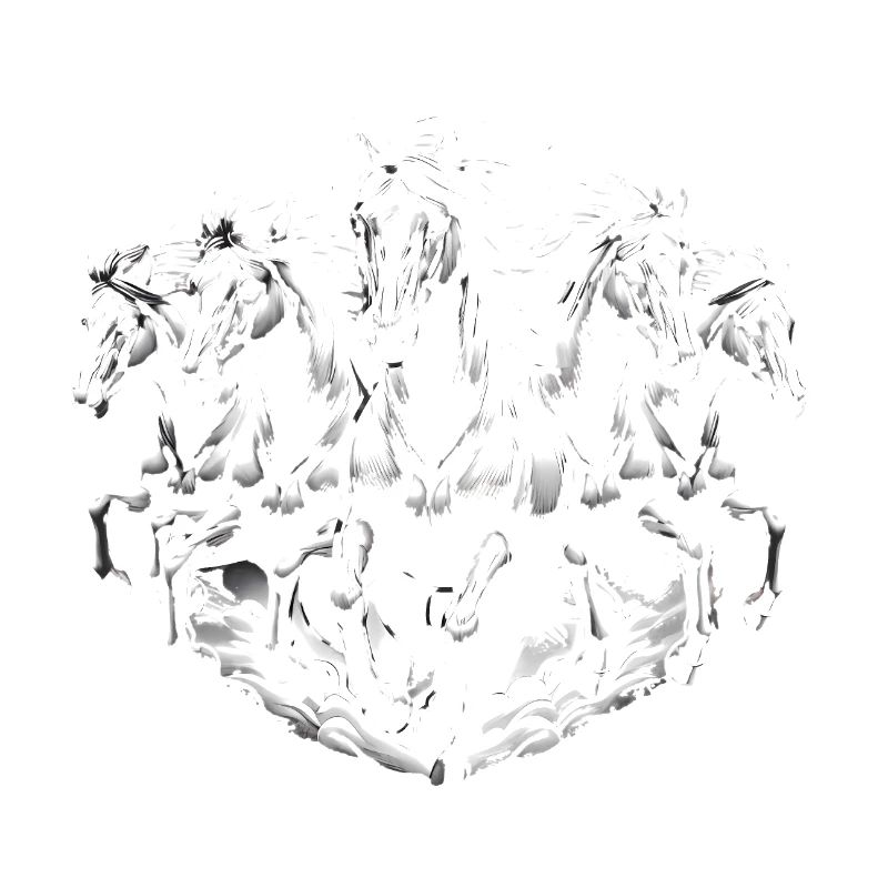 Chevaux de course Dynamic Noir Blanc Design