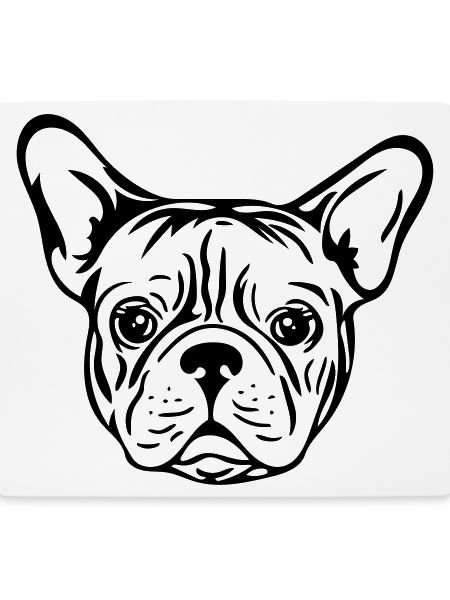 French bulldog