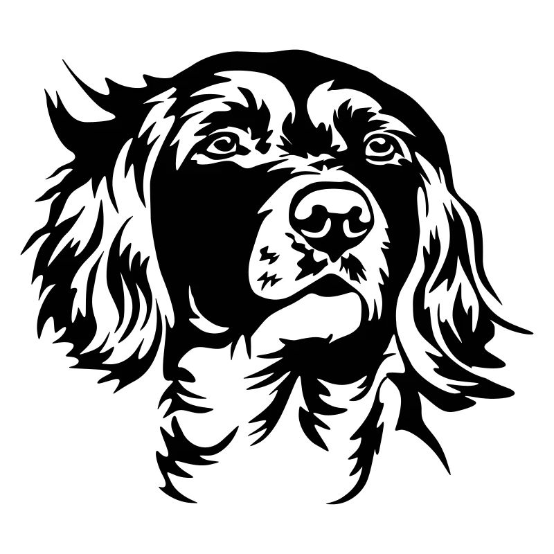 Münsterländer Kopf