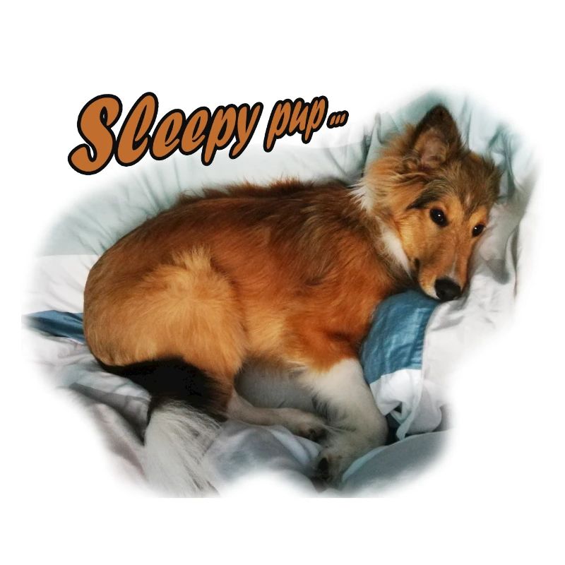 SleepyPup
