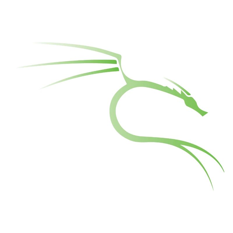 Kali Linux Dragon
