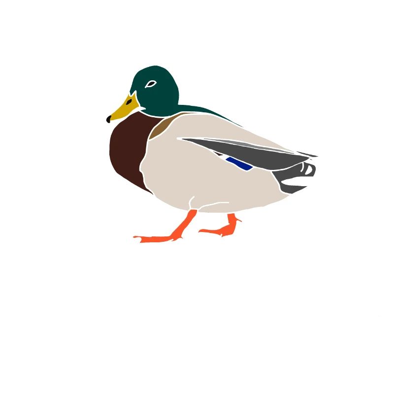 Canard