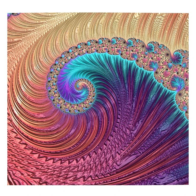 Fibonacci spiral fractal pattern math nature