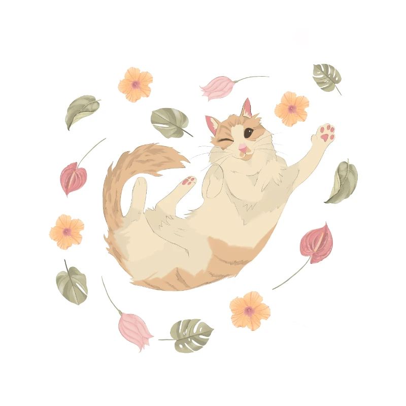 Katze