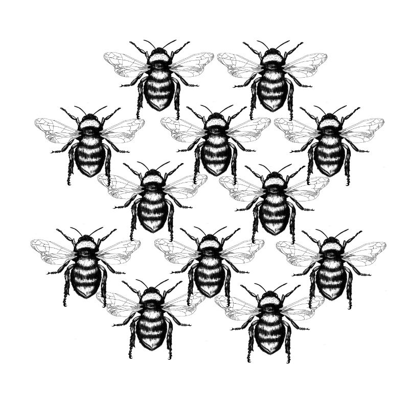 Bienenmotiv