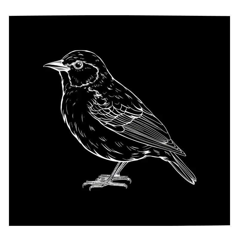 Vogel, schwarz-weiß