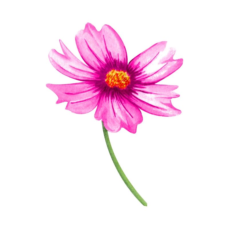 fleur