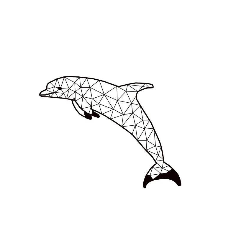 Dolphinn GeomeTRIX