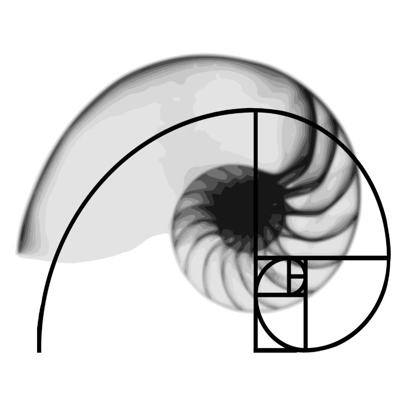Geometric pattern Fibonacci sequence