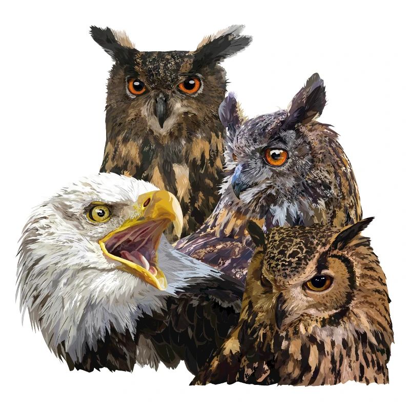 Greifvögel