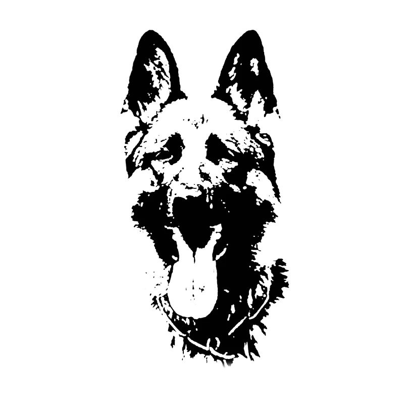 Hunderasse Schäferhund