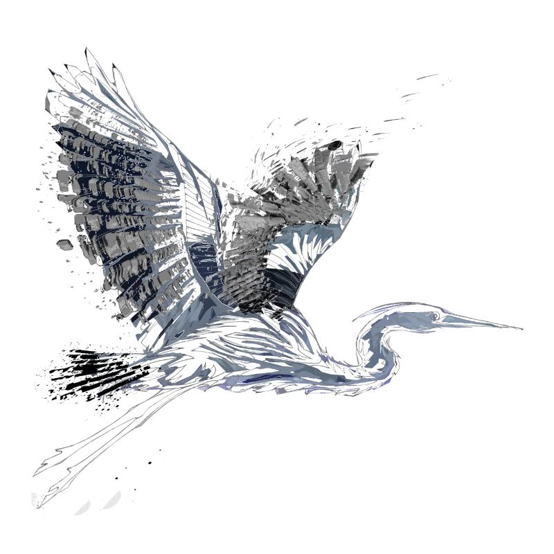 Heron