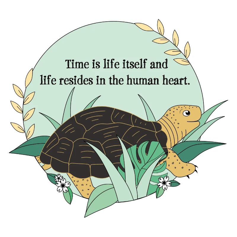 Turtle Cassiopeia
