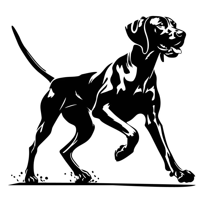 Magyar Vizsla