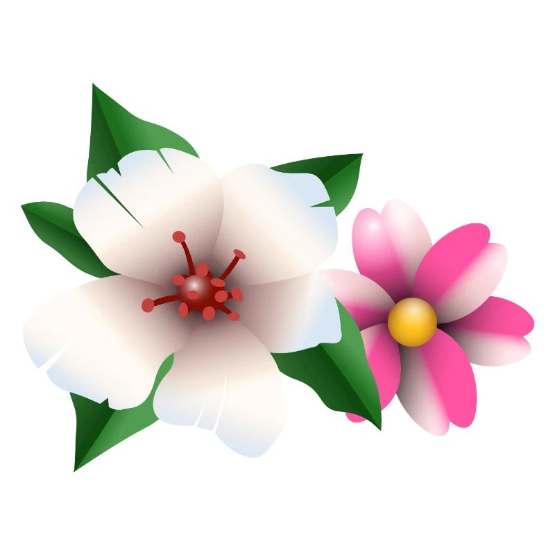 Sommerblumen
