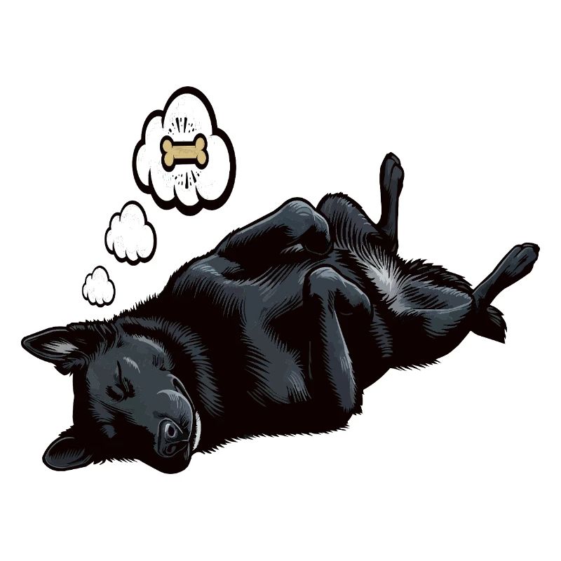  Schwarzer Schäferhund Schäferhundbesitzer 