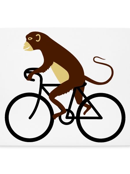 Affe fährt Fahrrad