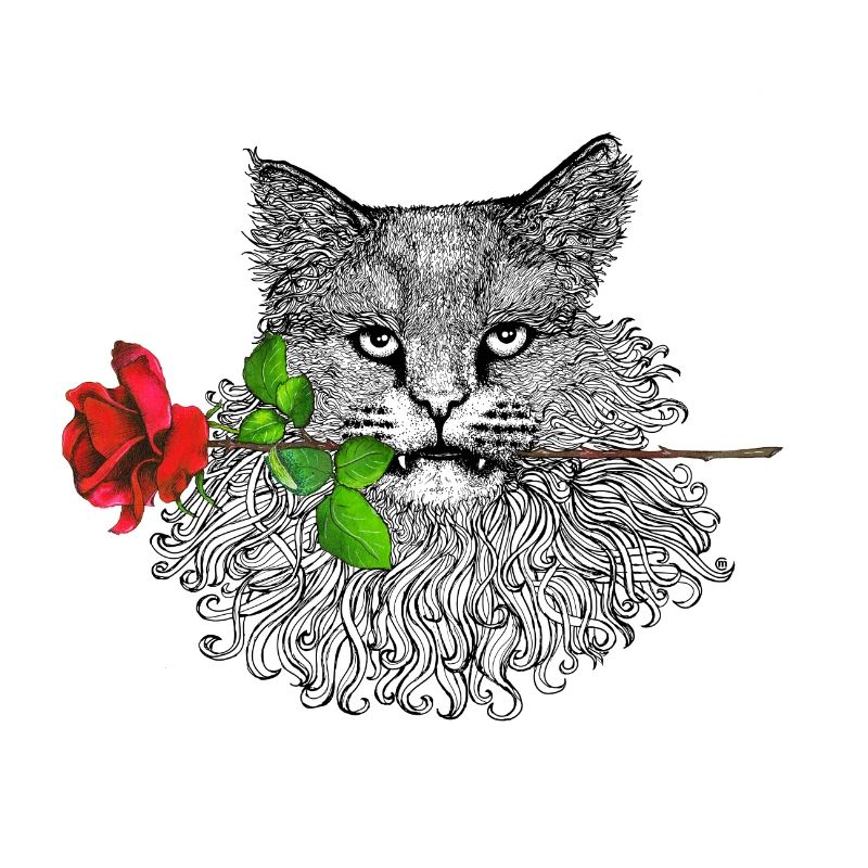 Romantische Katze