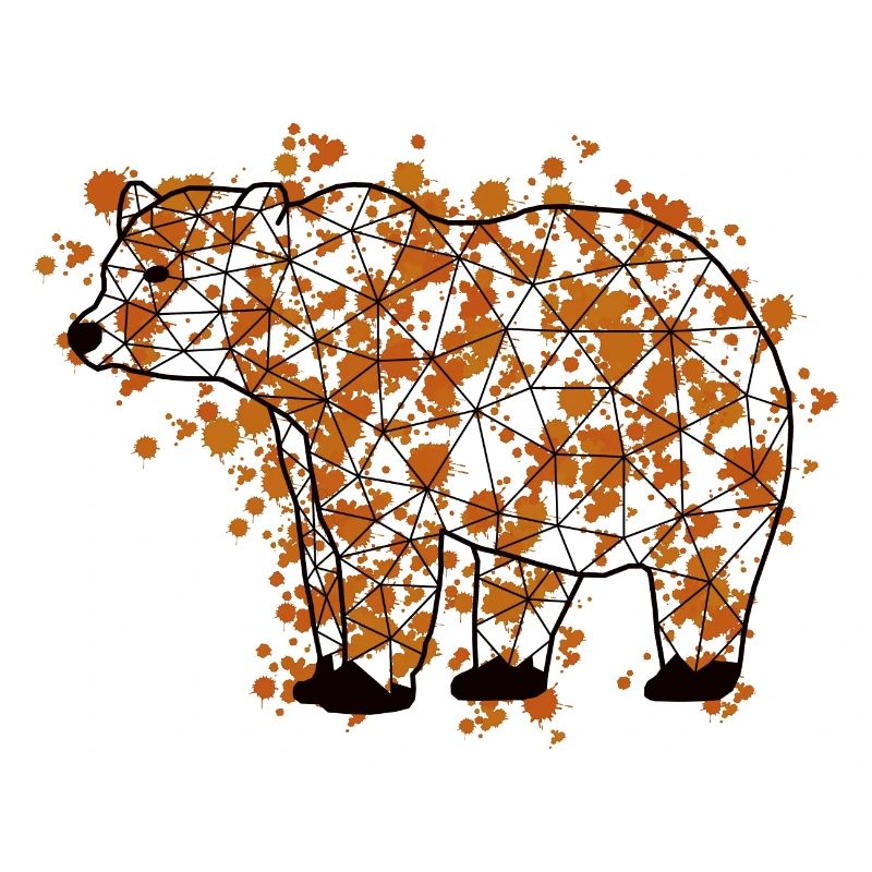 Bearr GeomeTRIX bunt
