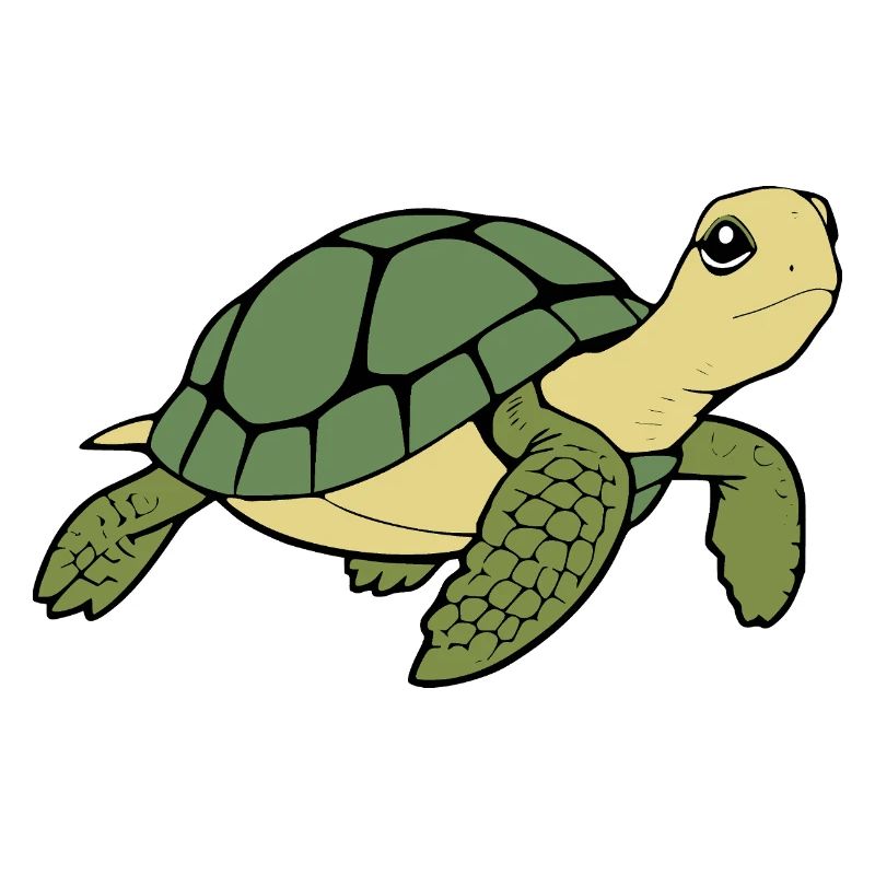 Turtle Turtles