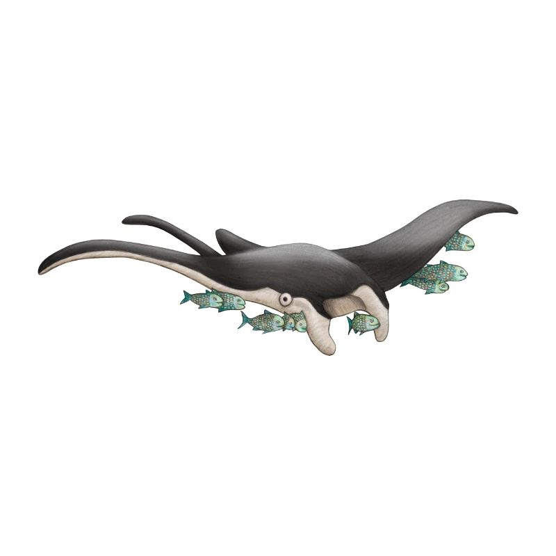 Freundlicher Mantarochen