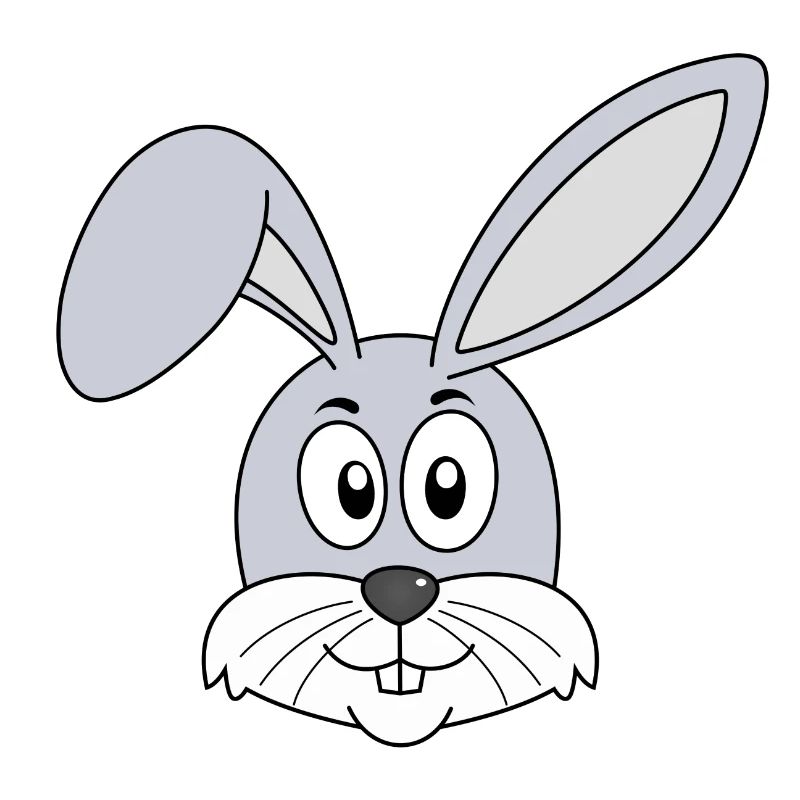 Rabbit Easter Rabbit Teeth Rabbits Easter